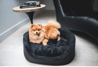 AMIPLAY Legowisko Elipsa Aspen Czarne S