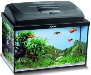 AQUAEL Zestaw Akwarystyczny Classic Box 60/P D&N