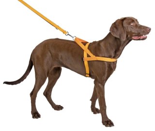 KERBL Szelki Odblaskowe Norwegian 58cm