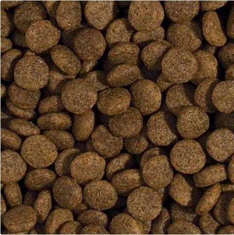 Tropidog Super Premium Adult Medium & Large Breed Kurczak I Łosoś 15kg