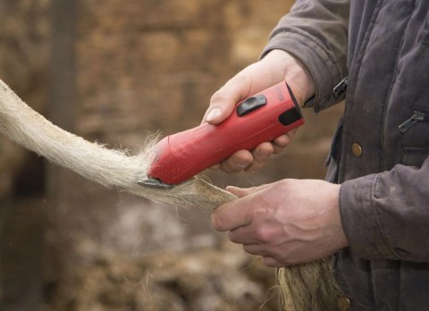 Aesculap Maszynka Do Strzyżenia FAV5 CL Akumulatorowa Czerwona