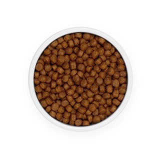 Eminent Puppy LARGE Breed 28/14 15kg