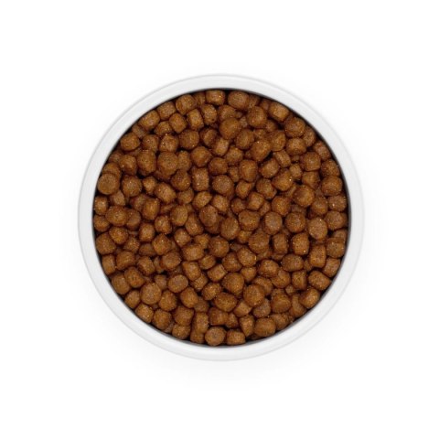 Eminent Puppy LARGE Breed 28/14 15kg