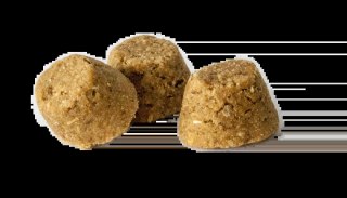 Oven Baked Tradition Dog Food Adult All Breed With Lamb 2,27kg