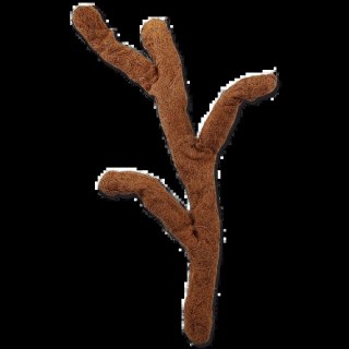 REPTI PLANET Gałąź Kokosowa 80cm