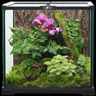 REPTI PLANET Terrarium Szklane 20x20x20cm
