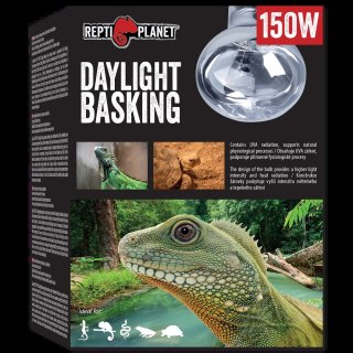 REPTI PLANET Żarówka Daylight Basking Spot 150W