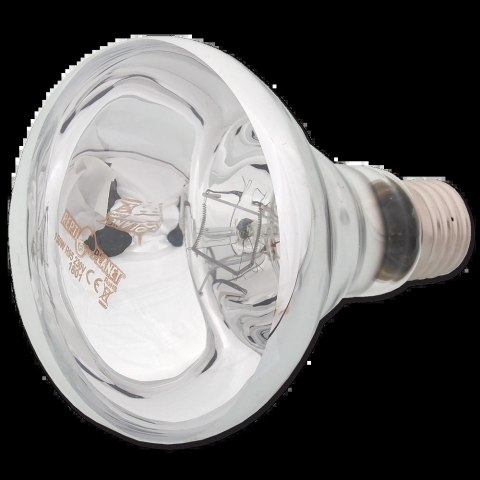 REPTI PLANET Żarówka Daylight Basking Spot 150W