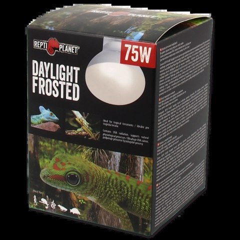 REPTI PLANET Żarówka Daylight Frosted 75W
