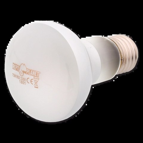 REPTI PLANET Żarówka Daylight Frosted 75W