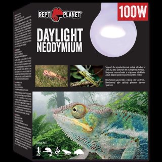 REPTI PLANET Żarówka Daylight Neodymium 100W