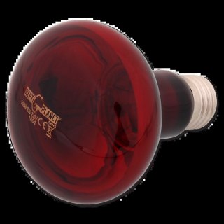 REPTI PLANET Żarówka Infrared HEAT 100W