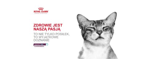 ROYAL CANIN Sensory Feel Kawałki W Sosie 12x85g