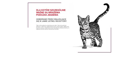 ROYAL CANIN Sensory Feel Kawałki W Sosie 12x85g