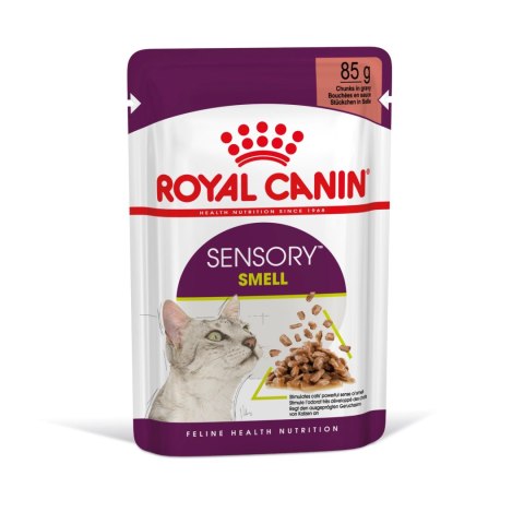 ROYAL CANIN Sensory Smell Kawałki W Sosie 12x85g