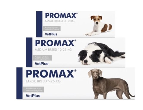 VETPLUS LIMITED Promax Probiotyk Dla Psów Średnich Ras 18ml