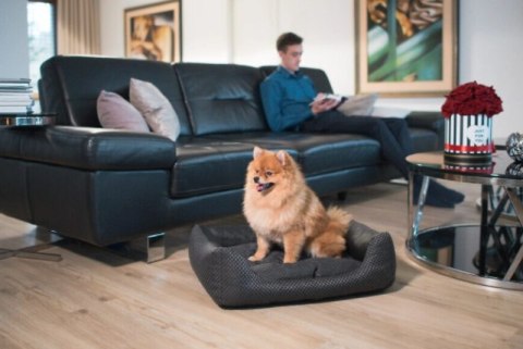 AMIPLAY Sofa ZipClean 4 in 1 Morgan Brązowe S