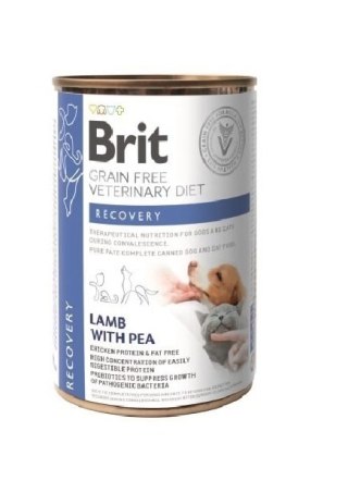 Brit GF Veterinary Diets Recovery 400g