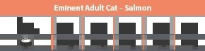 Eminent Cat Adult Salmon 32/14 2kg