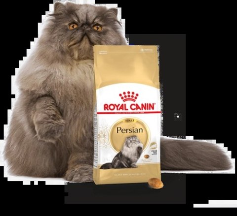 ROYAL CANIN Persian Adult 10kg+2kg