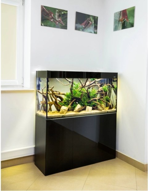 AQUAEL Szafka Glossy 100 Czarna