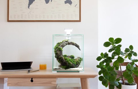 AQUAEL Zestaw Aquael Shrimp Set Day & Night Biały 20