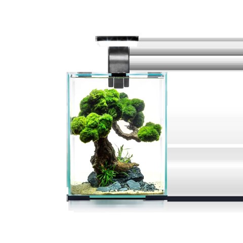 AQUAEL Zestaw Aquael Shrimp Set Day & Night Czarny 10