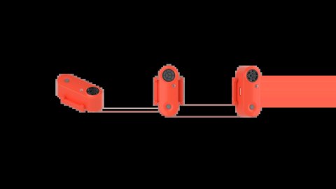 Tickless Active Coral