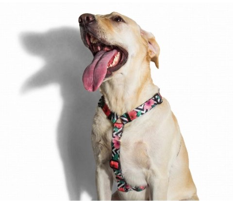 ZEE DOG Szelki Dla Psa Mahalo S