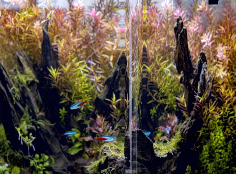 AQUAEL Zestaw Opti Bent Set Day & Night 20 Czarny