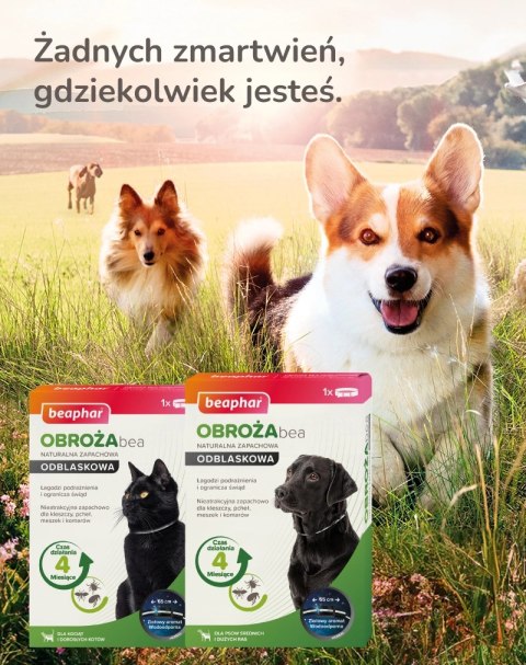 BEAPHAR Bea Obroża Refleksyjna Na Kleszcze I Pchły Dla Psa 65cm