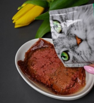 Josera Pate Kaczka Z Kurczakiem I Pietruszką 85g