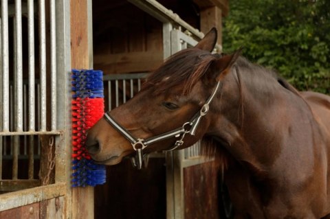 KERBL Czochradło Małe Dla Koni I Bydła Pojedyncze