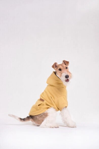 AMIPLAY Bluza Z Kapturem Texas Czarna 25cm