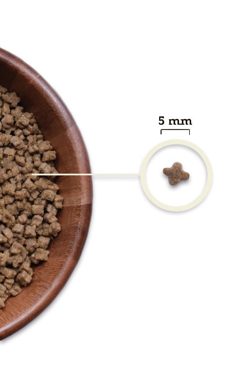 Acana Kitten Karma Dla Kota 1.8kg