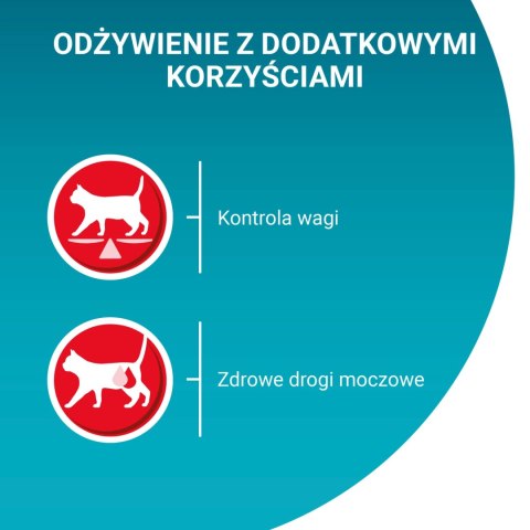 ChatGPT powiedział: Purina One Sterilcat Karma Dla Kota Z Indykiem I Zieloną Fasolką 85g
