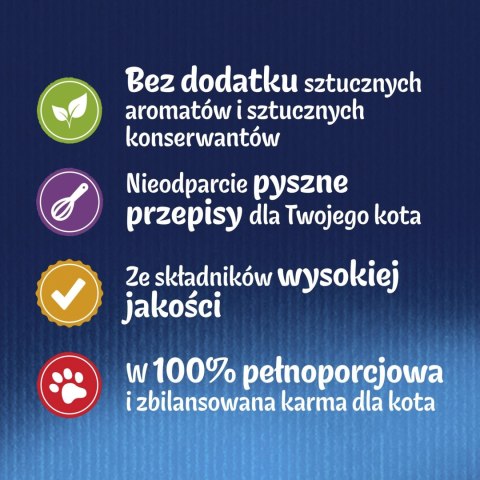 Felix Fantastic Mix Smaków W Galaretce Karma Dla Kota 44x85g