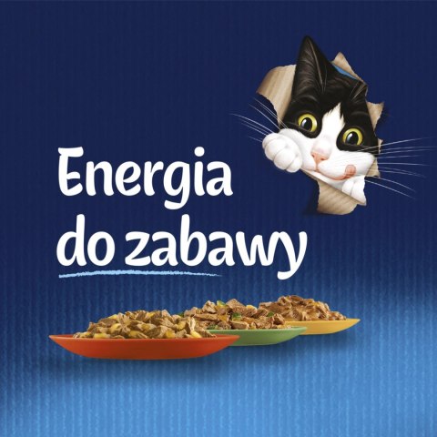 Felix Fantastic Mix Smaków W Galaretce Karma Dla Kota 44x85g