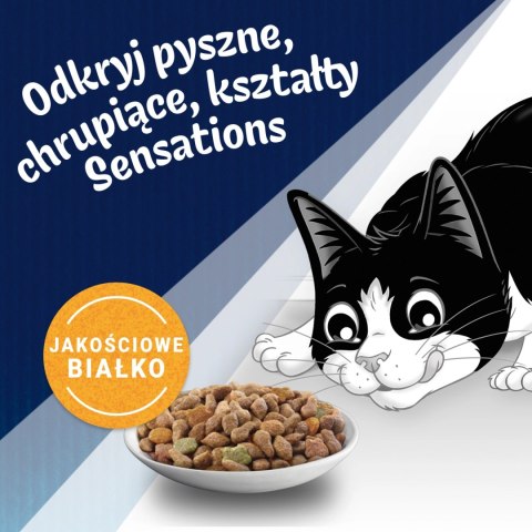 Felix Farmhouse Sensations Z Mieszanką Kurczaka I Indyka I Z Warzywami 1kg