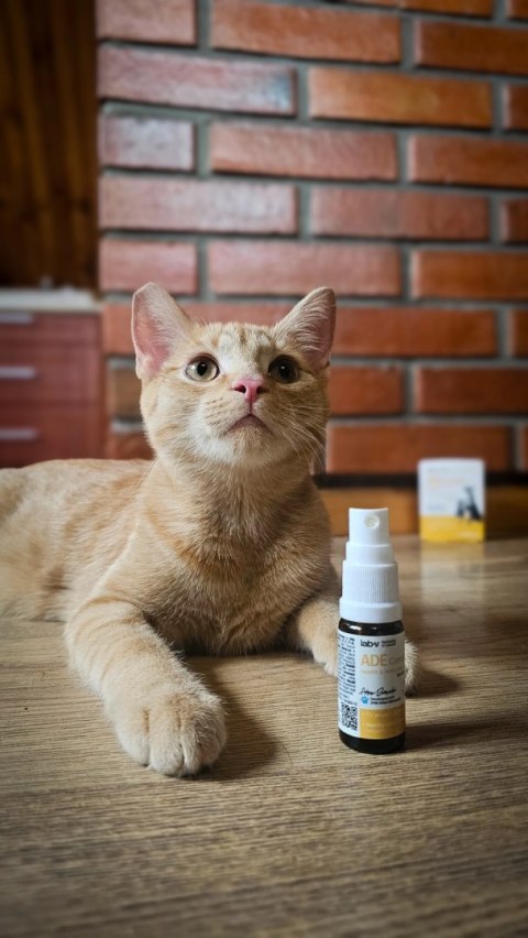 Lab-v ADE Complex Kompleks Witamin A, D I E W Formie Spreju Dla Psów I Kotów 2 x 10ml