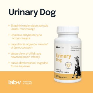 Lab-v Urinary Dog Wsparcie Przy Zakażeniu Dróg Moczowych U Psów 45 Kapsułek