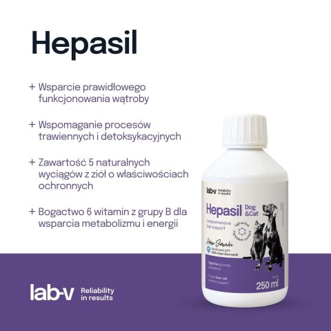 Lab-V Hepasil Dog & Cat Preparat Na Wątrobę Dla Psa I Kota 250ml