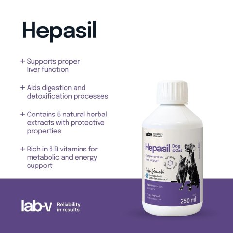 Lab-V Hepasil Dog & Cat Preparat Na Wątrobę Dla Psa I Kota 250ml