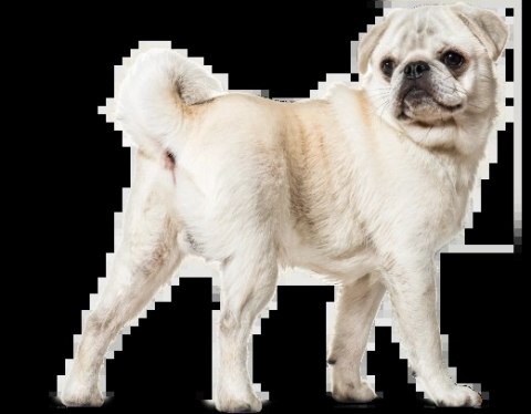 Lab-v Glandala Wsparcie Gruczołów Okołoodbytowych i Przewodu Pokarmowego 90 Kapsułek