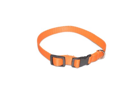 A-004 OBROŻA TAŚMA 20mm/26-44cm