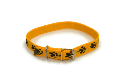 A-156 Obroża dla psa łapki metał 20mm/43-51cm