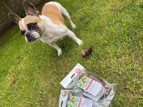 Jądra wołowe 80g GRUSZKI przysmak dla psa gryzaki naturalne