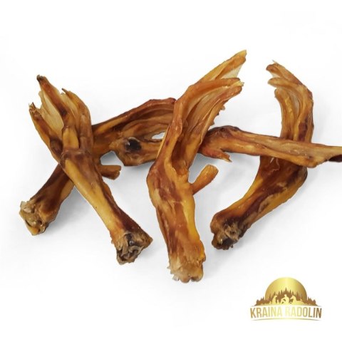 Łapa Kaczora duża szt