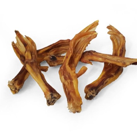 Łapa Kaczora duża szt