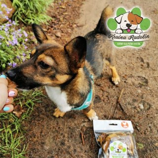 Lotka kurza 100g przysmak dla psa gryzaki naturalne